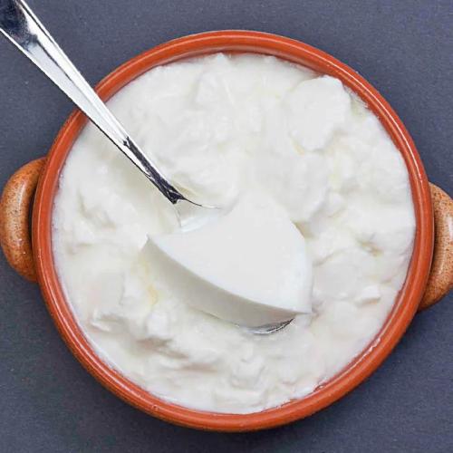 Plain Dahi